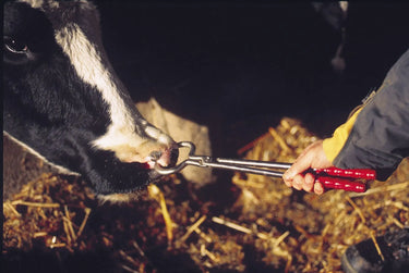 Agrihealth Bullholder Tongs| Online For Equine