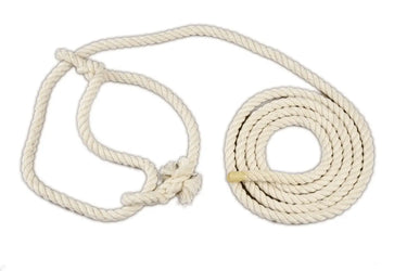 Agrihealth Calf Cotton Halter| Online For Equine