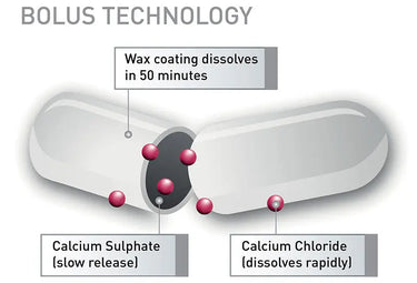 Agrimin 24-7 Calcium Cattle Bolus| Online For Equine