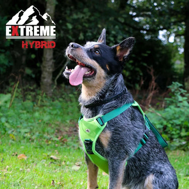 Ancol Extreme Hybrid Harness Field Green| Online For Equine