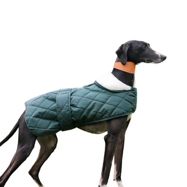 Ancol Heritage Quilted Hound Coat| Online For Equine