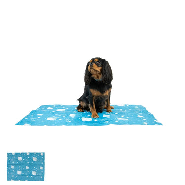 Ancol Ice Paws Cooling Mat| Online For Equine
