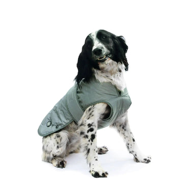 Ancol Muddy Paws Ultimate Dog Coat Reflective| Online For Equine
