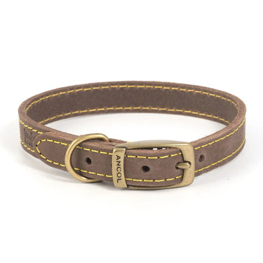 Ancol Timberwolf Collar Sable| Online For Equine