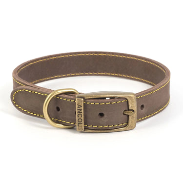 Ancol Timberwolf Collar Sable| Online For Equine