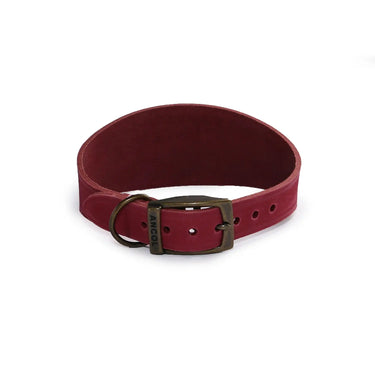 Ancol Timberwolf Hound Collar Raspberry| Online For Equine
