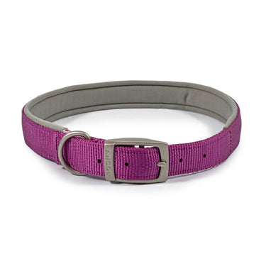 Ancol Viva Padded Collar Purple| Online For Equine