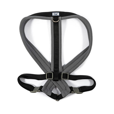 Ancol Viva Padded Harness Black| Online For Equine