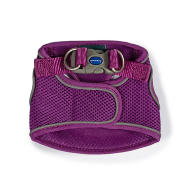 Ancol Viva Step-In Harness Purple| Online For Equine
