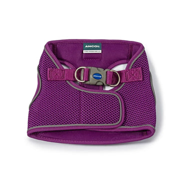 Ancol Viva Step-In Harness Purple| Online For Equine
