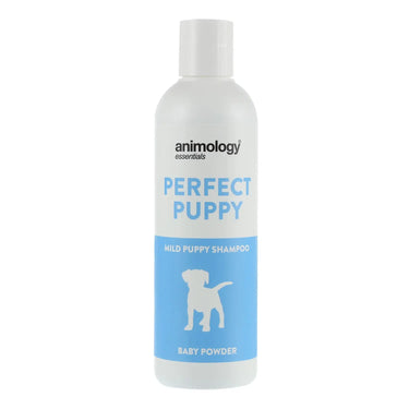 Buy Animology Essentials Baby Powder Shampoo For Puppies | Online for Equine