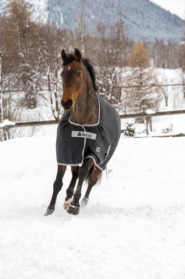 Bucas Anniversary Turnout 150g Stay Rug