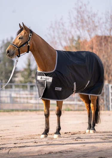 Bucas Anniversary Turnout 150g Stay Rug