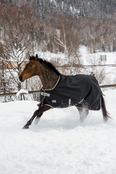 Bucas Anniversary Turnout 150g Stay Rug