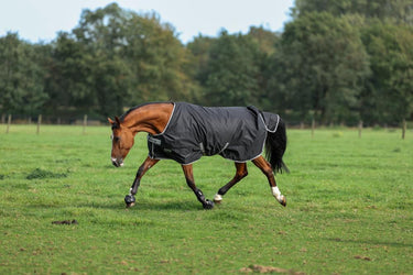 Bucas Anniversary Turnout 50g Silk Rug
