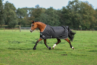 Bucas Anniversary Turnout 50g Silk Rug