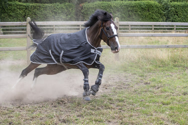 Bucas Anniversary Turnout 50g Silk Rug