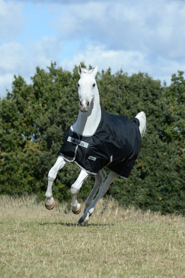 Bucas Anniversary Turnout Light Stay Rug