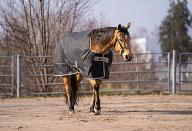 Bucas Anniversary Turnout Light Stay Rug