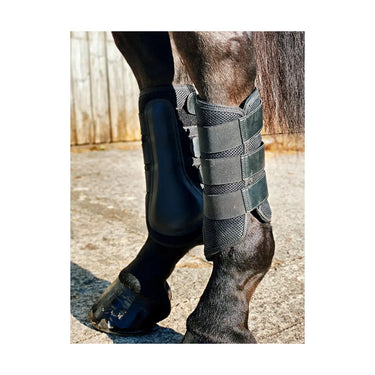 Buy Apollo Air Brushing Boots| Online for Equine