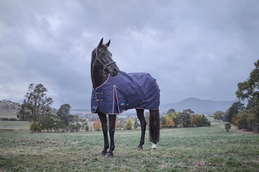 Weatherbeeta Comfitec Essential Turnout 220G Navy/ Burgundy