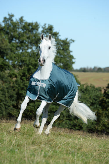 Bucas Atlantic Turnout 50g Rug