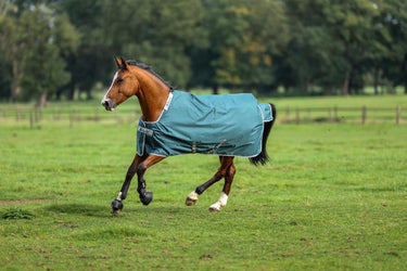 Bucas Atlantic Turnout 50g Rug