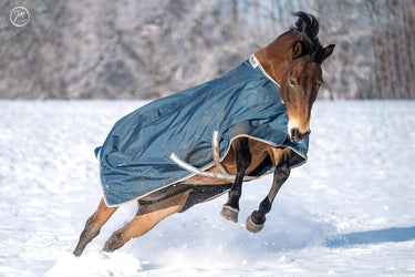 Bucas Atlantic Turnout 200g Rug