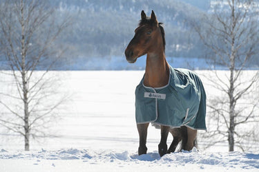 Bucas Atlantic Turnout 200g Rug