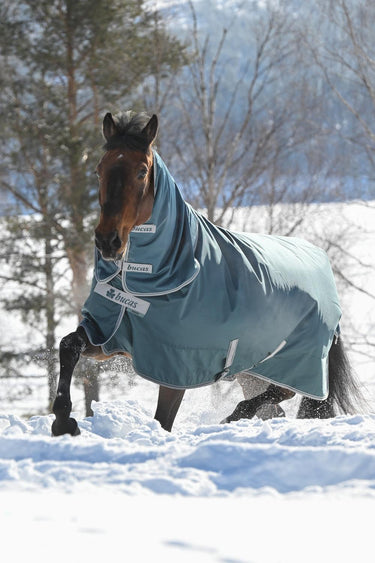 Bucas Atlantic Turnout Combi Neck 300g Rug