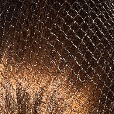 Buy Bitz Hairnets Heavyweight | Online for Equine