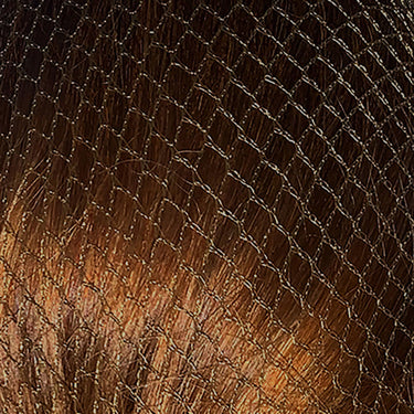 Buy Bitz Hairnets Heavyweight | Online for Equine