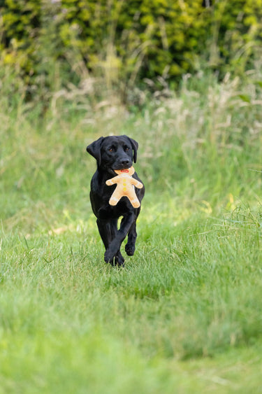 Benji & Flo Christmas Dog Toys| Online For Equine