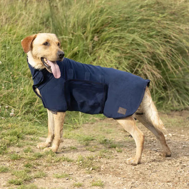 Benji & Flo Classic Drying Dog Robe| Online For Equine