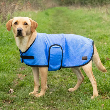 Benji & Flo Cooling Dog Coat| Online For Equine