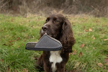 Benji & Flo Country Dog Toys| Online For Equine