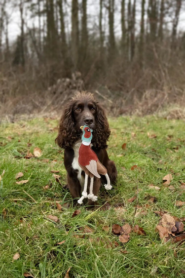 Benji & Flo Country Dog Toys| Online For Equine