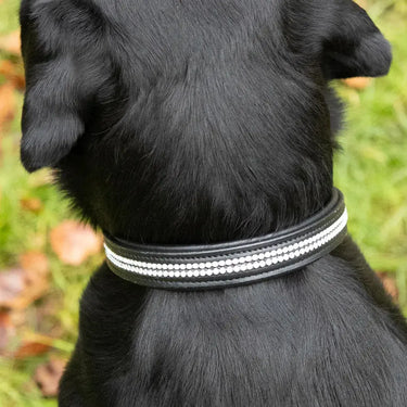 Benji & Flo Dazzling Diamante Dog Collar| Online For Equine