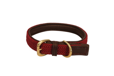 Benji & Flo Interlaced Dog Collar| Online For Equine