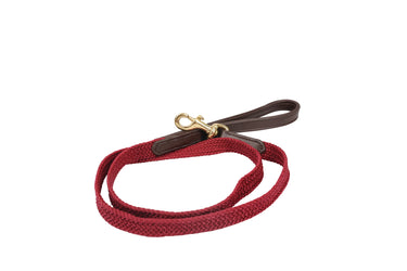 Benji & Flo Interlaced Dog Lead| Online For Equine