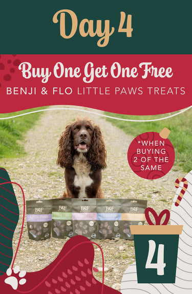 Benji & Flo Little Paws Skin Soothe Conditioning Treats| Online For Equine