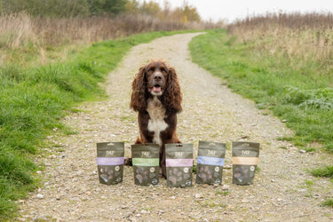 Benji & Flo Little Paws Skin Soothe Conditioning Treats| Online For Equine