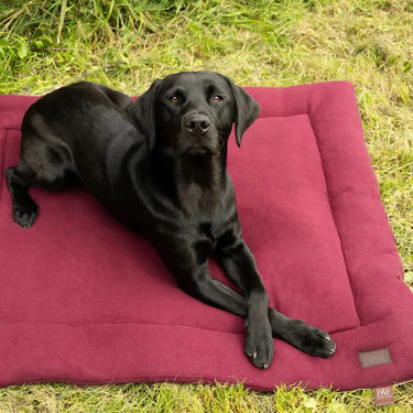 Benji & Flo Luxury Fleece Dog Bed| Online For Equine