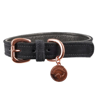 Benji & Flo Noble Suede Dog Collar| Online For Equine
