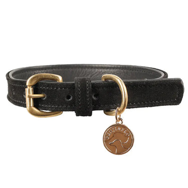 Benji & Flo Noble Suede Dog Collar| Online For Equine