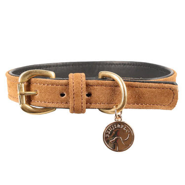Benji & Flo Noble Suede Dog Collar| Online For Equine