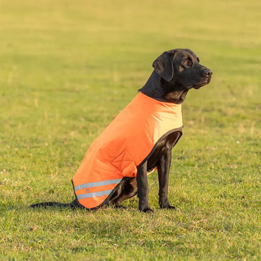 Benji & Flo Reflector Waterproof Dog Coat by Hy Equestrian| Online For Equine