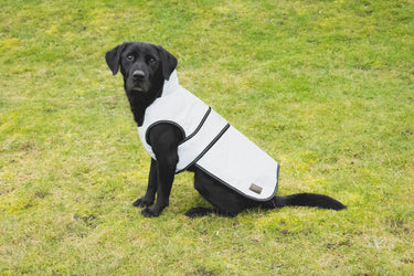 Benji & Flo Silva Reflective Dog Coat| Online For Equine