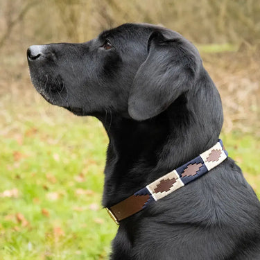 Benji & Flo Sublime Polo Leather Dog Collar| Online For Equine