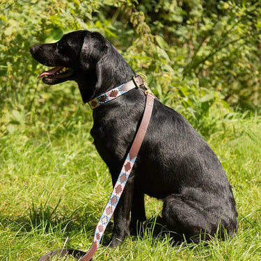 Benji & Flo Sublime Polo Leather Dog Lead| Online For Equine